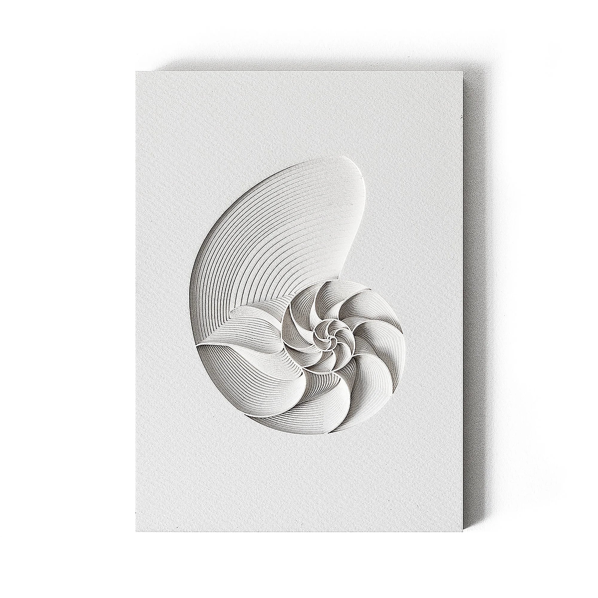 o3designstudio Nautilus Paper Art  IDEAL GIFTS A5 