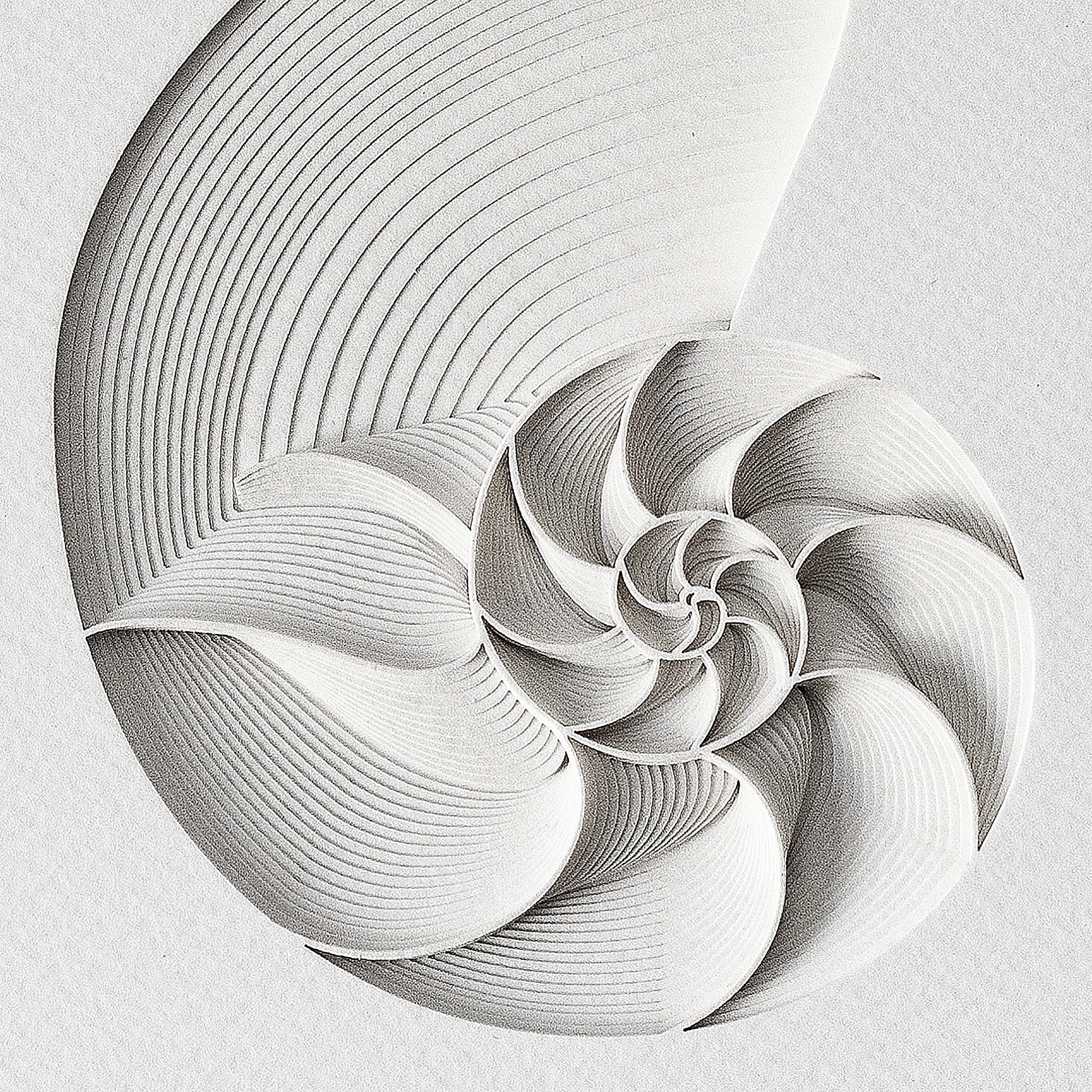 o3designstudio Nautilus Paper Art  IDEAL GIFTS Close-up view