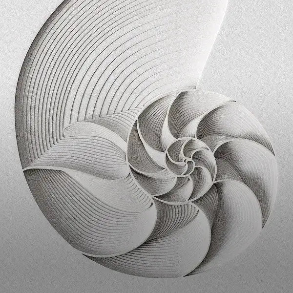 layers of paper