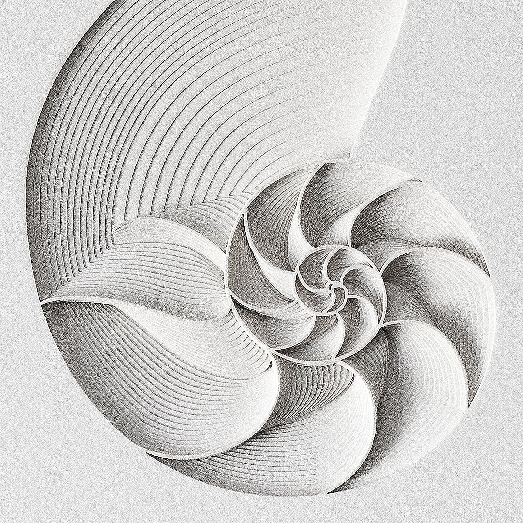 o3designstudio Nautilus Paper Art  IDEAL GIFTS A5 Partial
